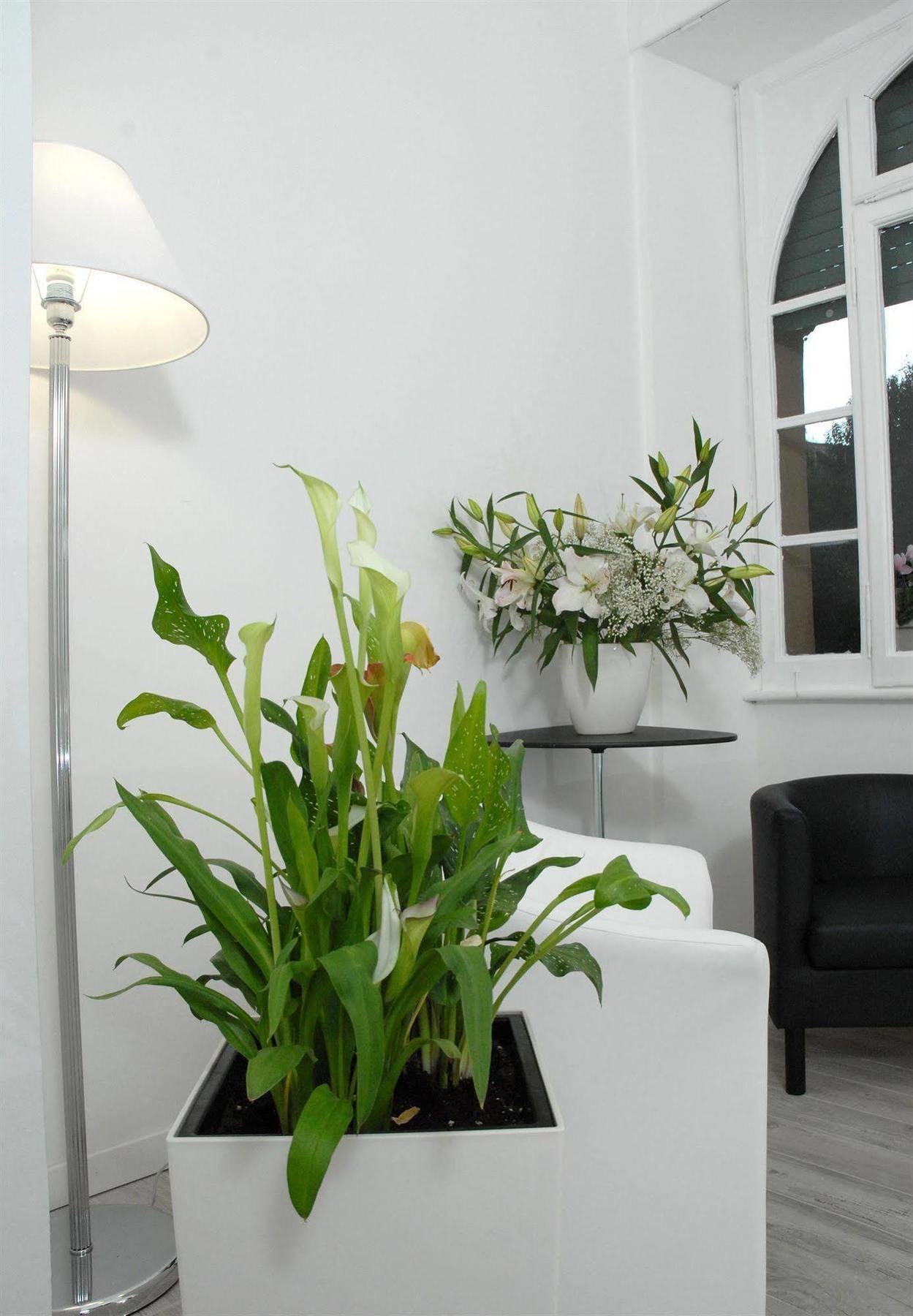 Gardenia Suite Рим Екстериор снимка